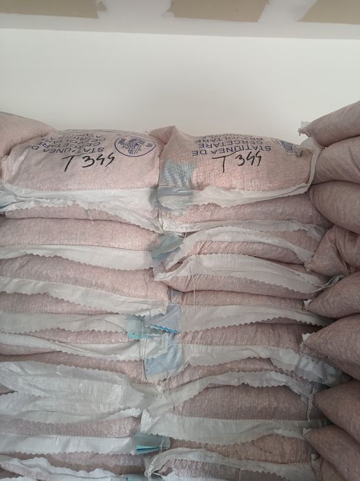 Sămânță Porumb Certificat sac 10 kg  ( 33.000 boabe )