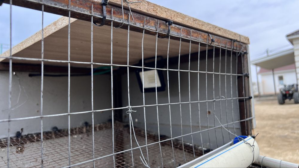 Бөдене қорасы сатылады