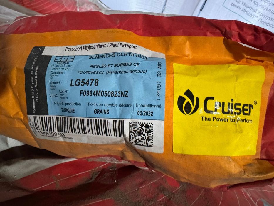 Семена подсолнечника