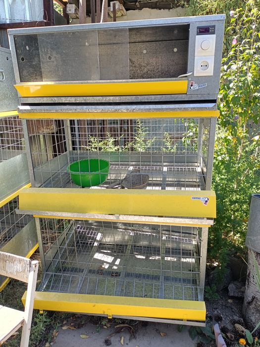 Брудер с клетками