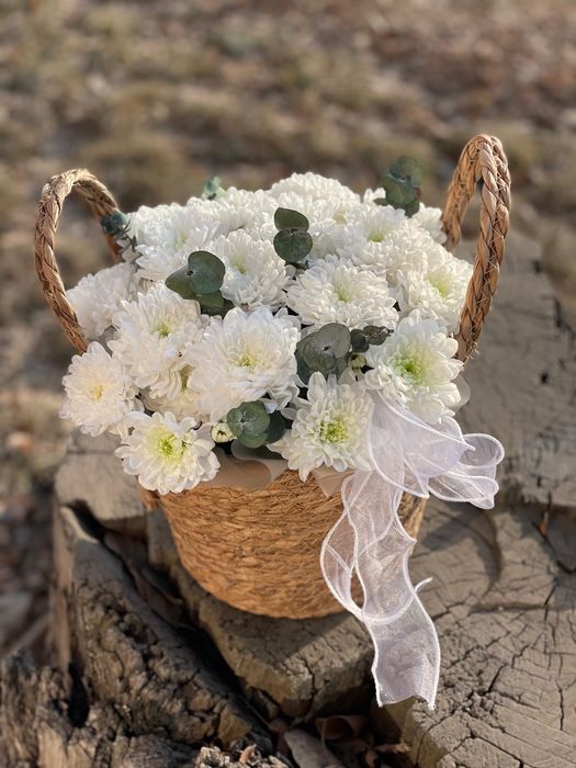 Корзина с хризантемой