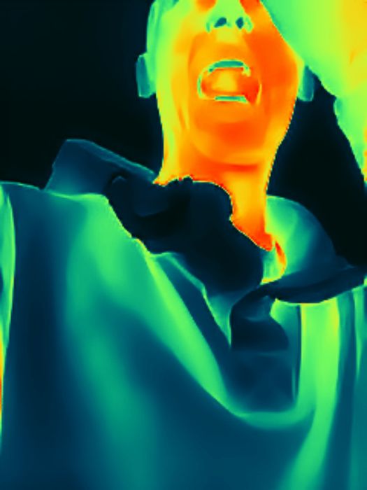 Thermal master P1 термо камера