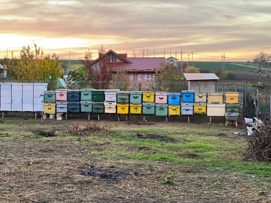 Centrifuga miere patru rame,inox