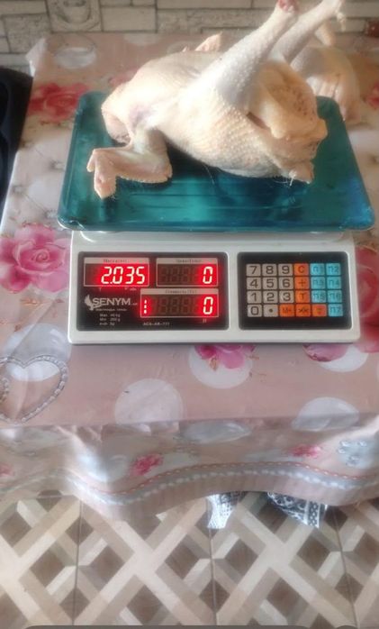 Куры на мясо продаётся