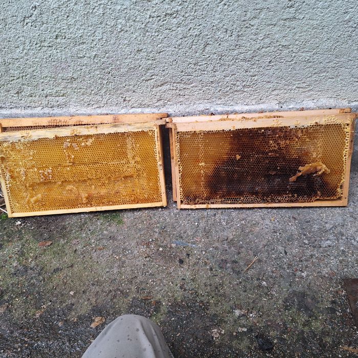 Изградени плодникови ЛР рамки