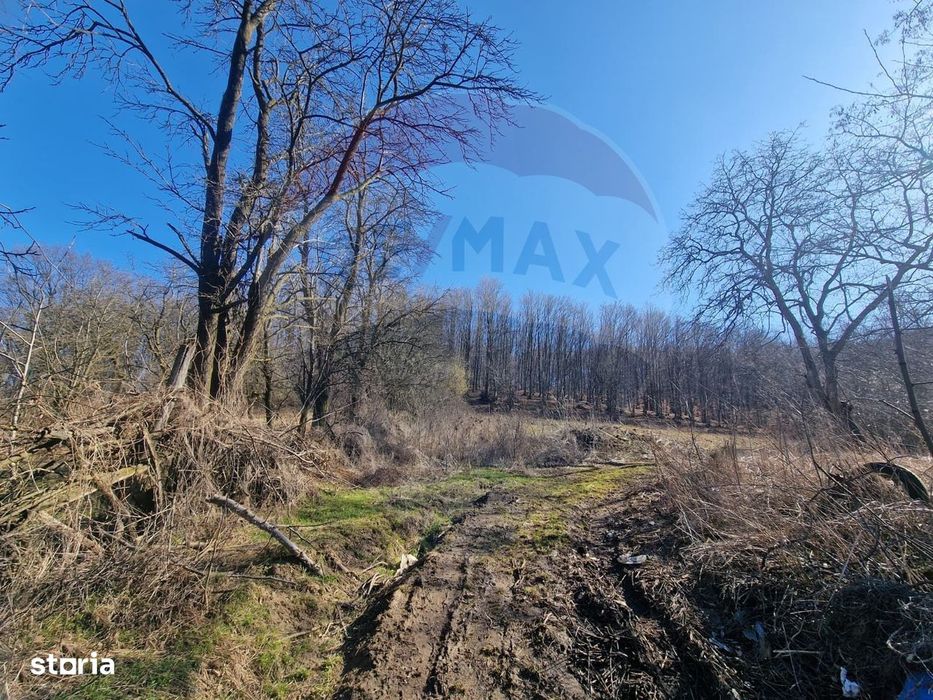 Teren de Vânzare în Pâncești (Sascut)