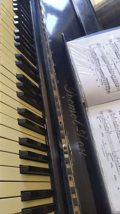 Fortepianino sotiladi holati alo