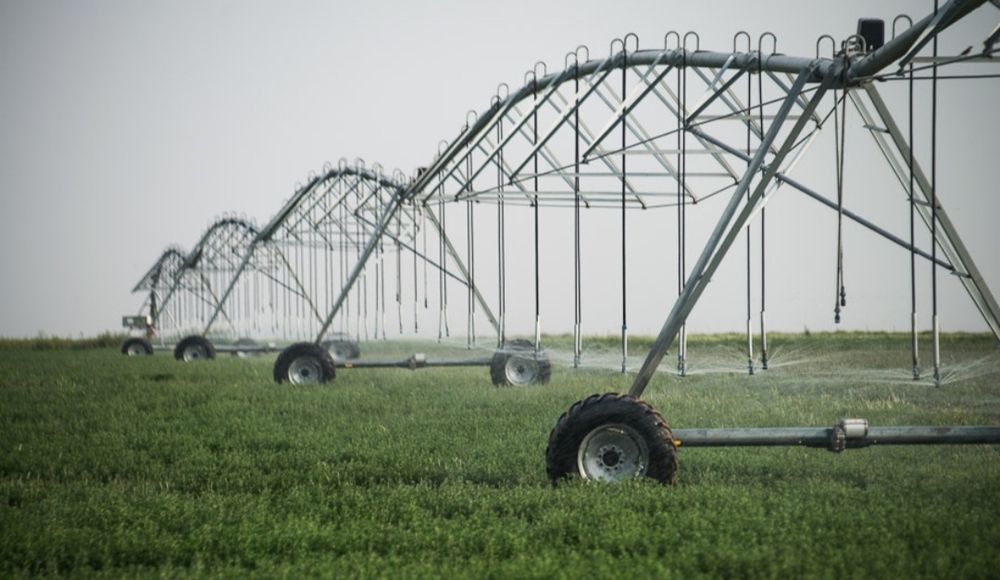 MCHJ chorvachilik  fermasi 1000 gektar yeri b.n