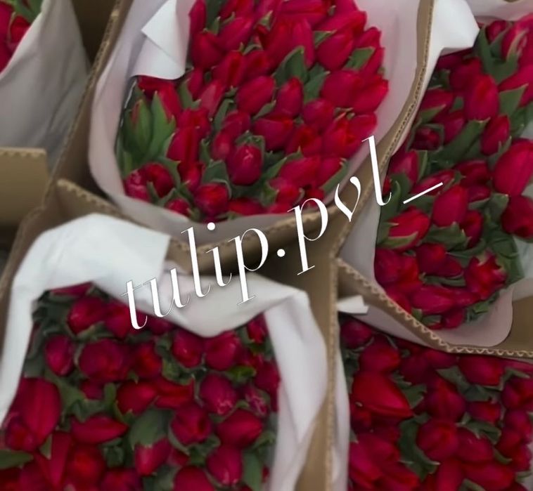 Тюльпаны Павлодар к 8 марта