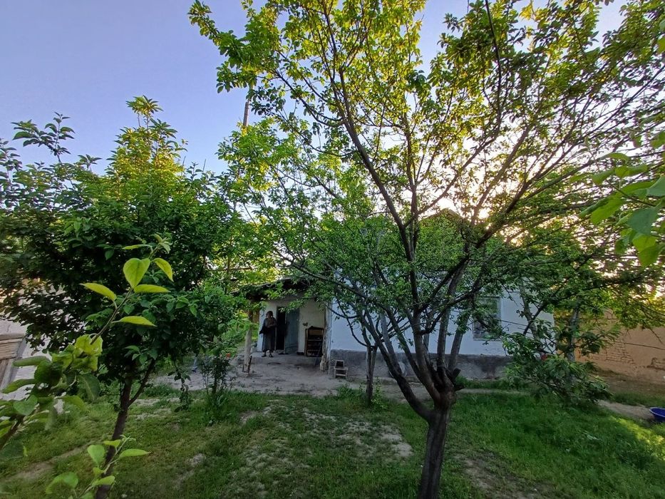 Продается дом 20 соток