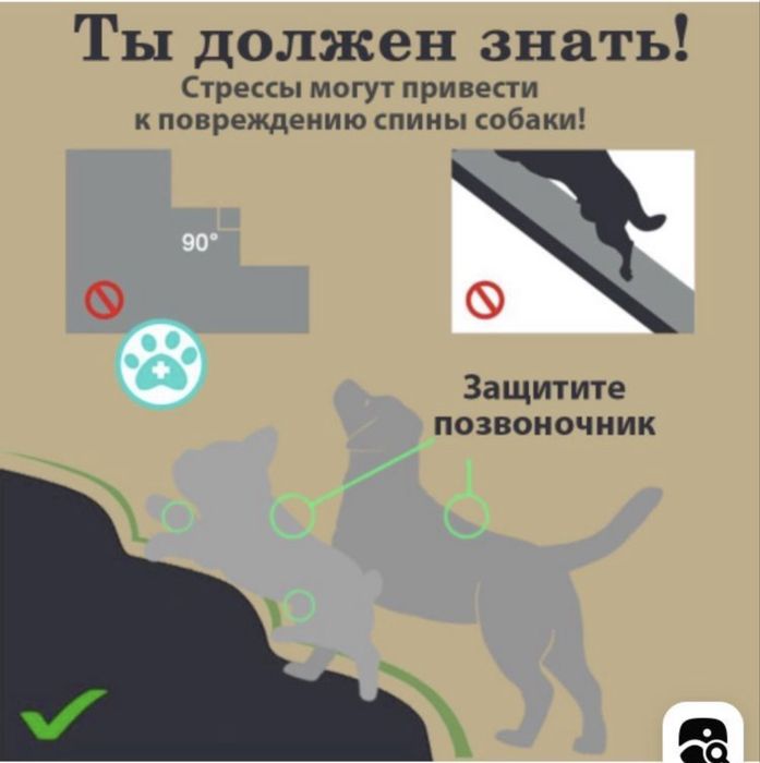 Лестница для собак