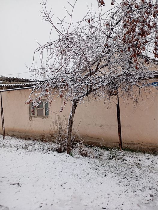 SROCNAGA Yer Taraqqiyat Yangibazor SRONA