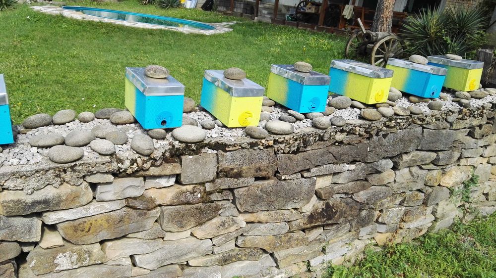 Пчелни  отводки и майки 2026