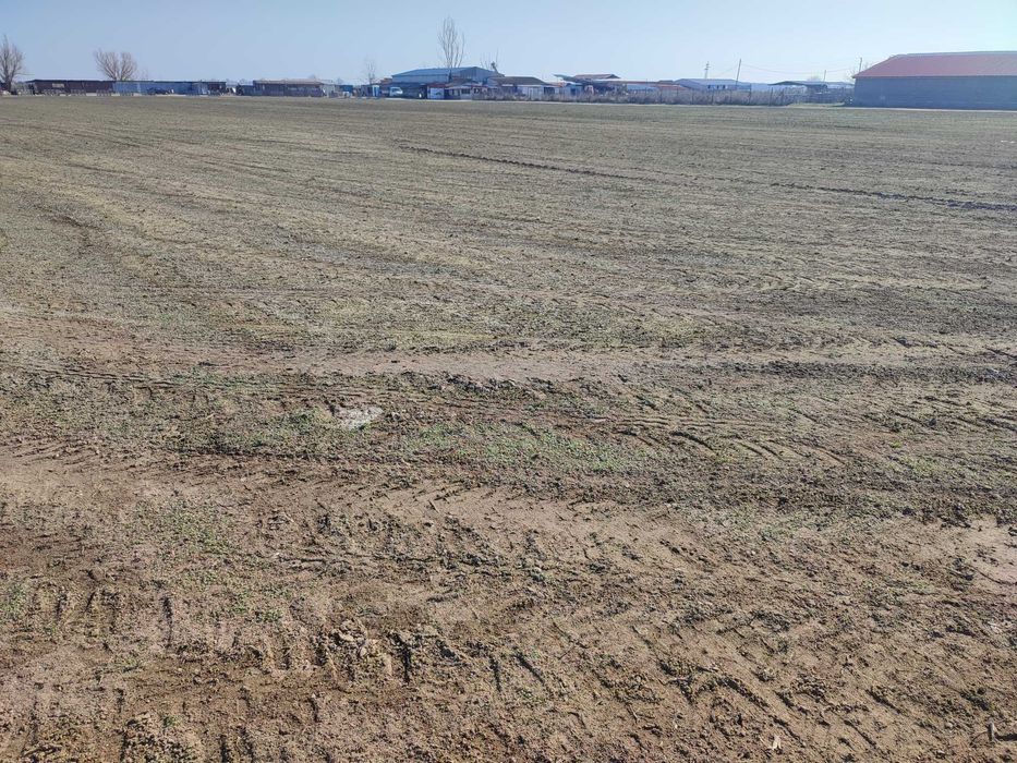 Продавам земеделска земя