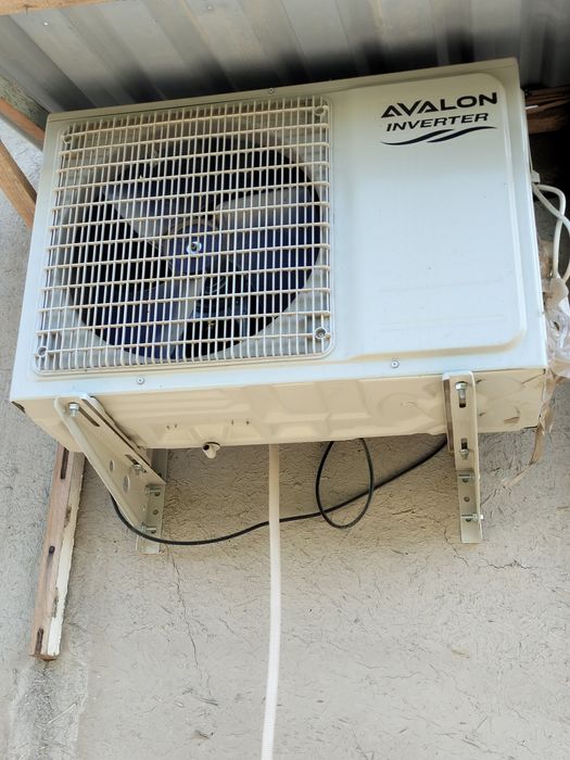 Kanesaner 3 yil kafolati