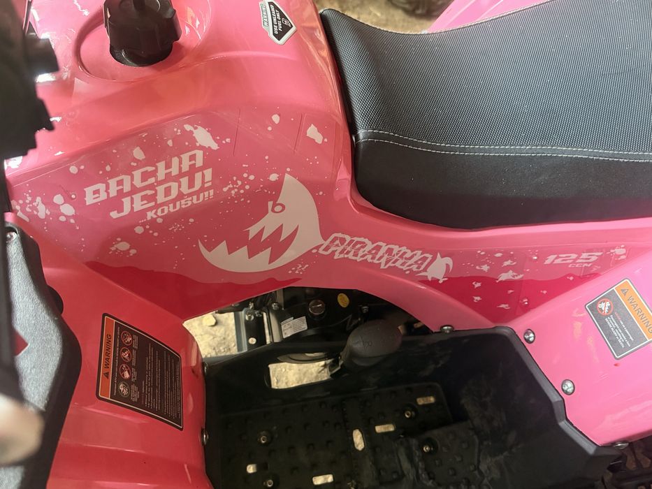 Atv PIRANHA 125 CCM (Nou)