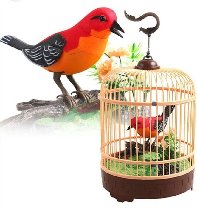 Sayroqi qush / К,уш Сайрок,и