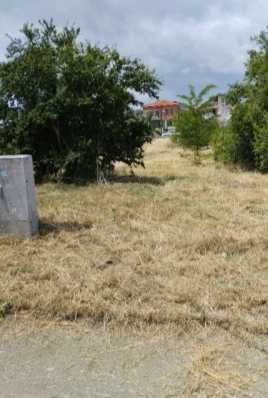 Косене на трева и други градинарски услуги - за гр.Бургас и региона