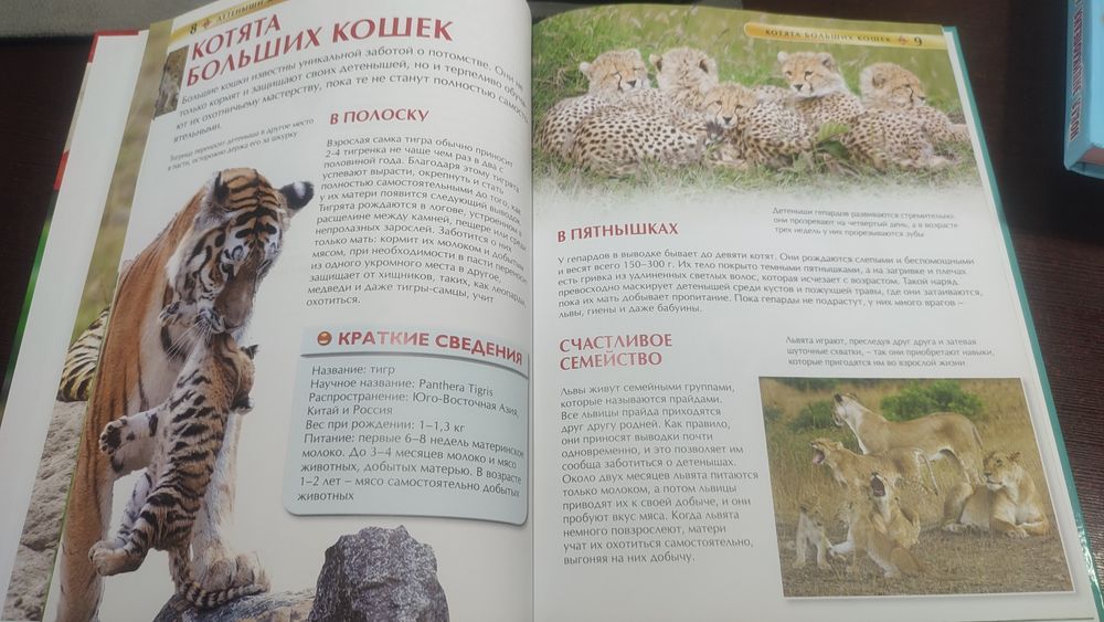 Продам энциклопедию