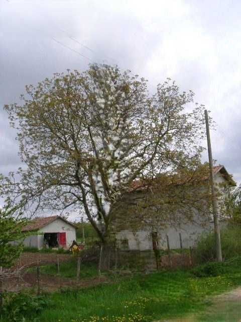 Парцел в село Ведрина
