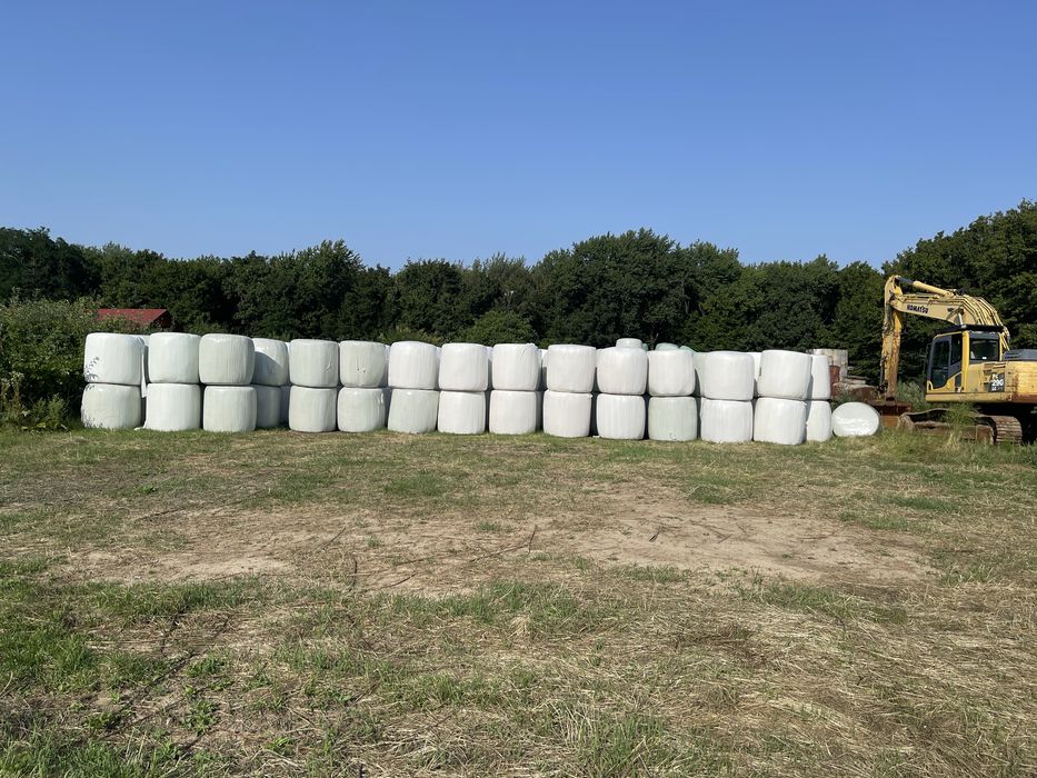 Baloti lucerna semifan-infoliati și fan uscat din agric. ecologică