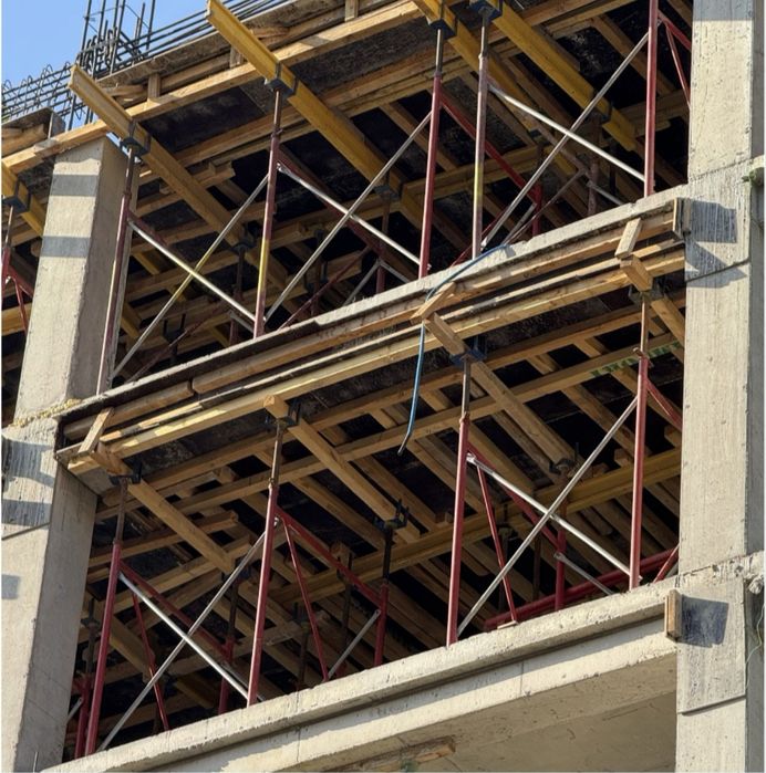 Леса маналитный .