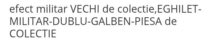 Echilept militar dublu de colecție