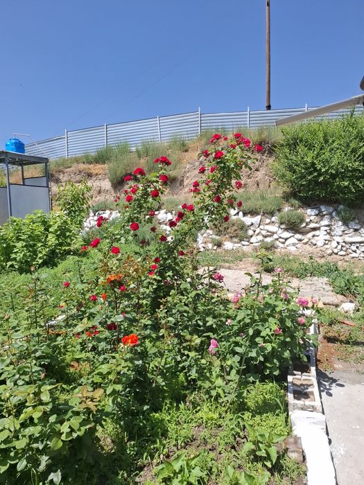 Продам дом в Каргалы( Фабричный). Срочно