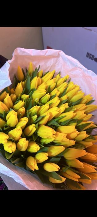 Тюльпаны красивые