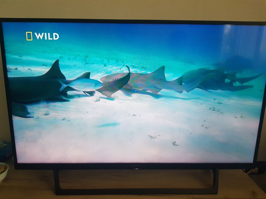 Телевизор SONY Bravia