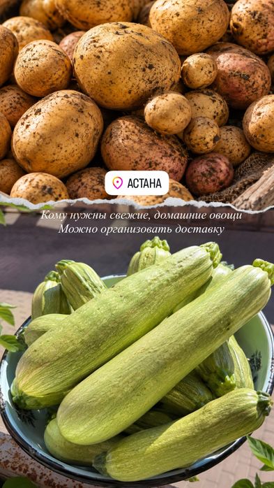 Домашние свежие овощи