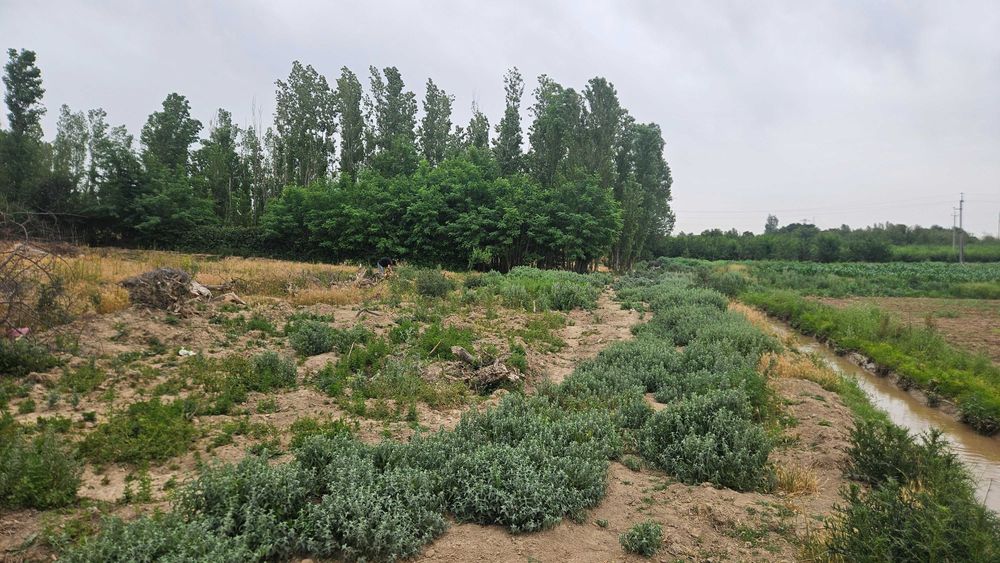 Янгийулда угловой 8 соток. Кадастр 100%.