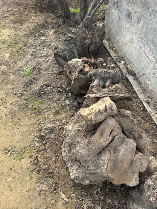 Отын сатылады. Продается дрова