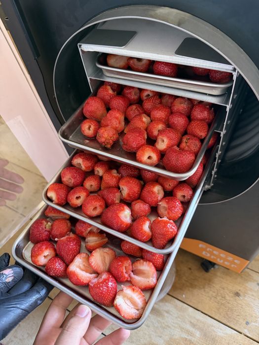 Meva Sublimatsiyalash aparati , freeze dryer