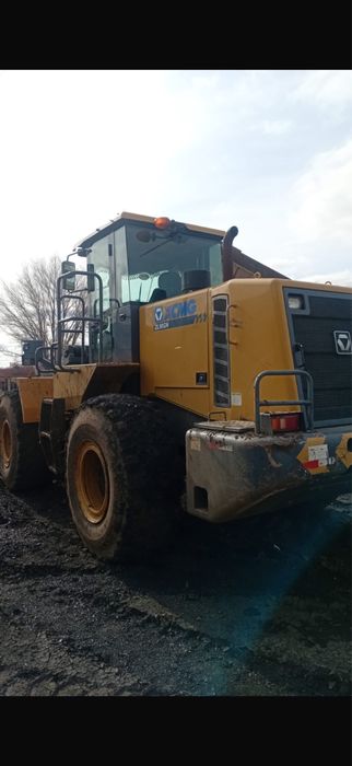 Сдам в аренду петушок