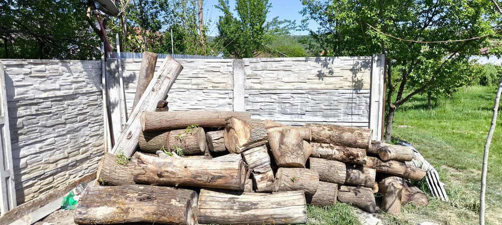 Lemne ieftine pentru iarna