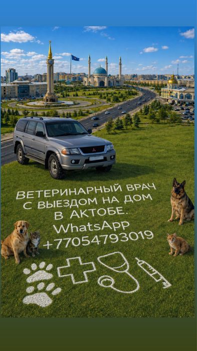 Ветеринарный врач с выездом на дом