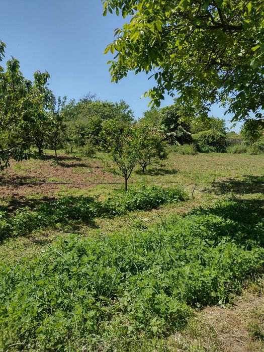 Продава се Къща в с. Константиново, Област Хасково - 100 кв.м за 419 €/кв.м - Снимка #7