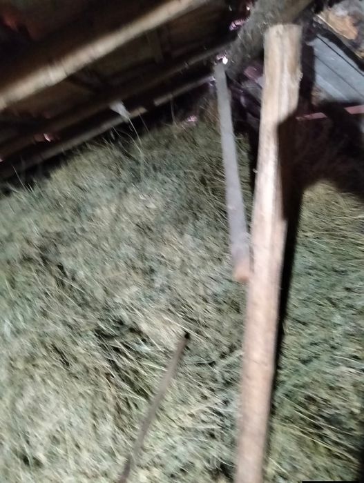 Lucerna vrac de vanzare