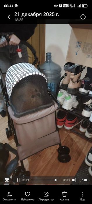 Коляска для животных