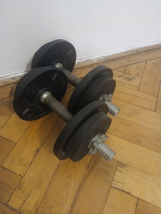 Set gantere ,2buc,2×10 kg