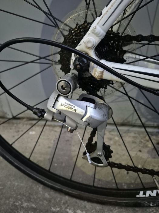 Bicicleta de sosea Cursiera