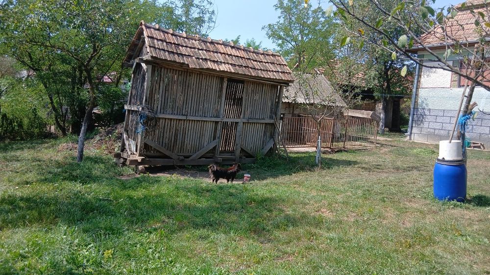 Casa de vanzare Soporu de Câmpie