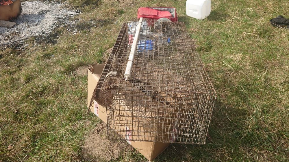 Cușcă iepuri cu sistem apa