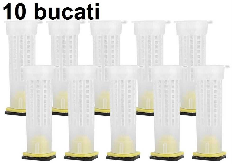 10 bucati Cusca matca albine! 2.6x7.8cm Noi ambalate!