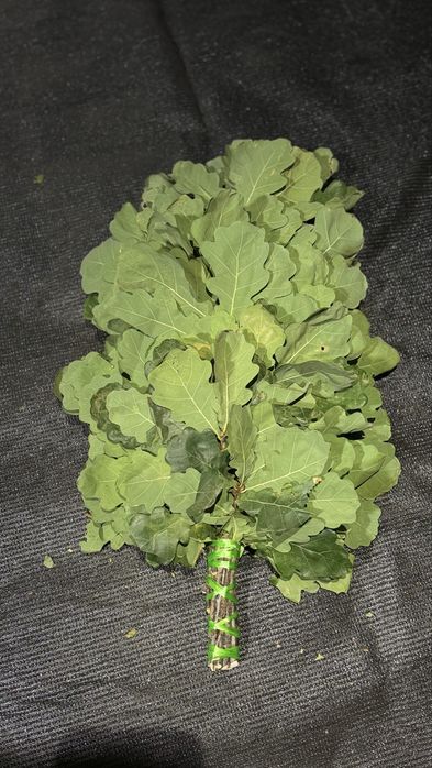 Веник для баня и сауна