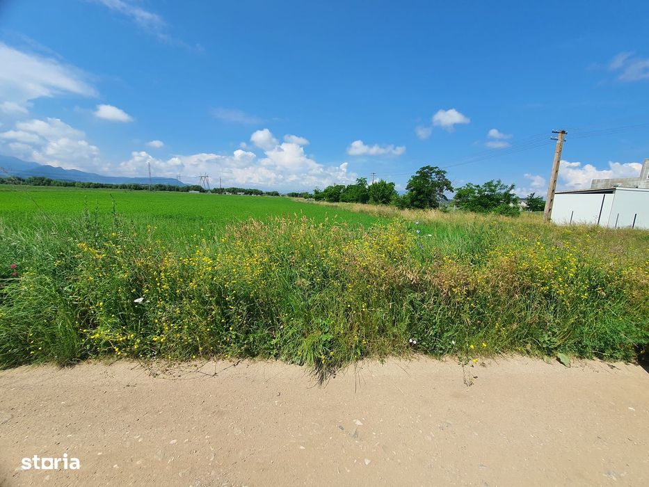 Teren Brasov – Sanpetru Livada zona de case