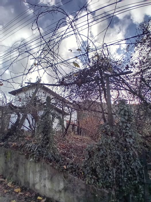 Продава се Къща в Петрич - 1700 кв.м за 39 €/кв.м - Снимка #7