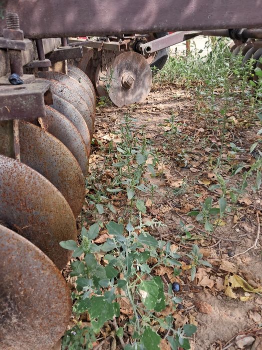 De vânzare disc gd 3,4