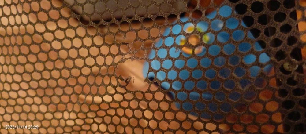 Манеж детский продаётся